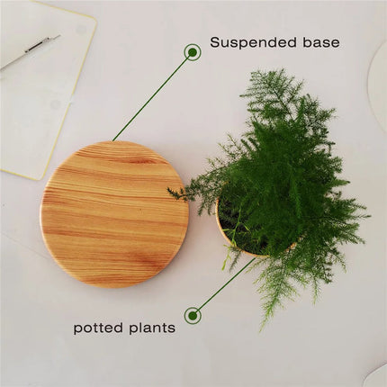 Floating Levitating Bonsai Planter with Rotating Wooden Stand for Home Office Decor